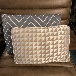 Set of 2 Decorative Pillows